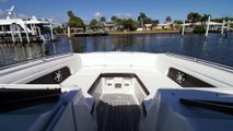 2019 Sea Ray 290 SDX at MarineMax St. Petersburg, FL