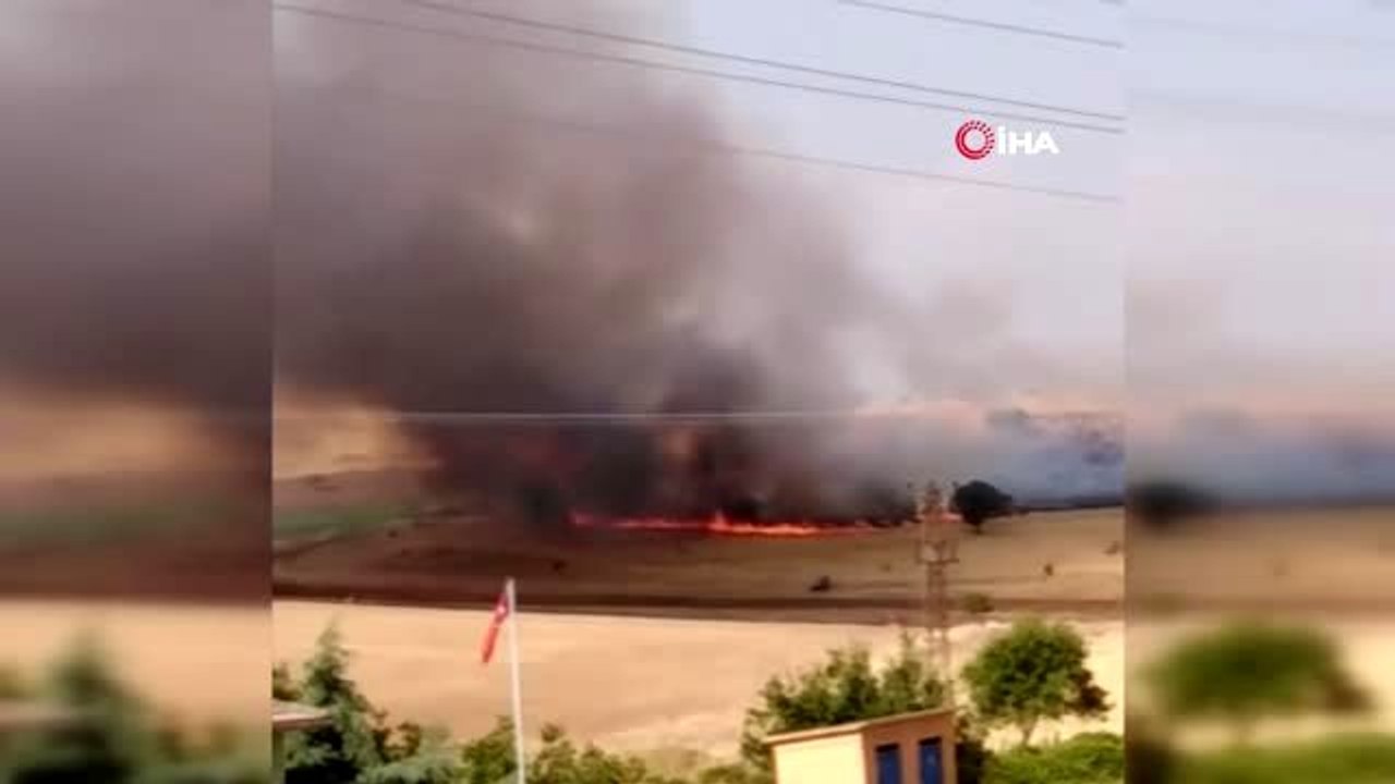 Çıkan yangın badem ağaçlarını kül etti, 200 dönüm arazi kül oldu