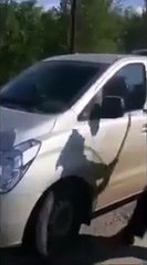 Ce policier a beaucoup de mal à briser la vitre de cette camionnette !