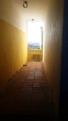 Pooch Practices Parkour for its Person