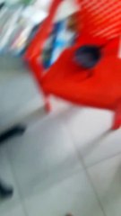 Lots and Lots of Lice