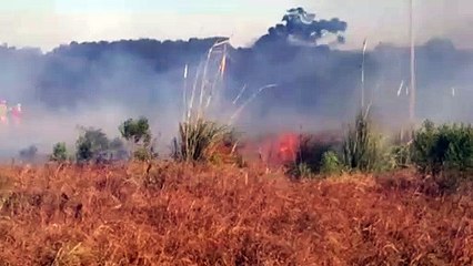Grande área de vegetação é atingida por incêndio no Universitário