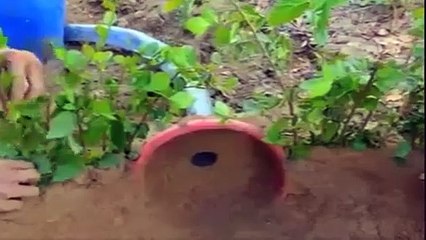 Yılanlar İçin İlginç Ve Etkileyici Bir Tuzak