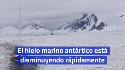 El hielo marino antártico está disminuyendo rápidamente