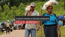 Climate Change Is Driving Migrants To U.S. Border