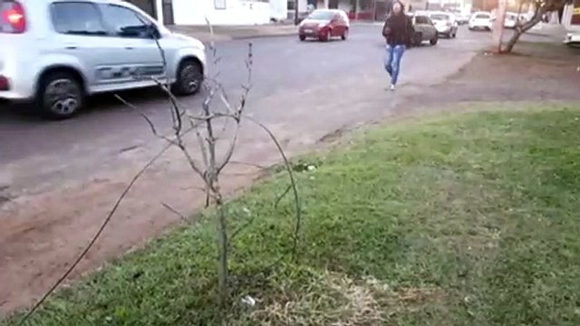Moradores reclamam de fios soltos na Rua Ponta Grossa