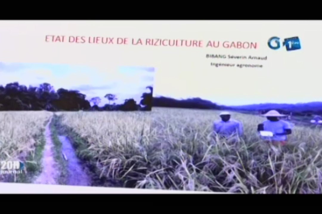 RTG/Ouverture de l’atelier de formation visant l’élaboration de la stratégie nationale de développement rizicole