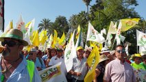 Manifestación de olivareros andaluces por un precio justo