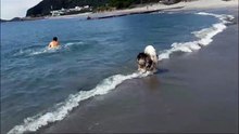 竜宮の磯