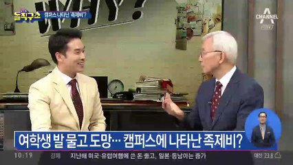 여학생 발가락 ‘꽉’…복면 족제비 비상