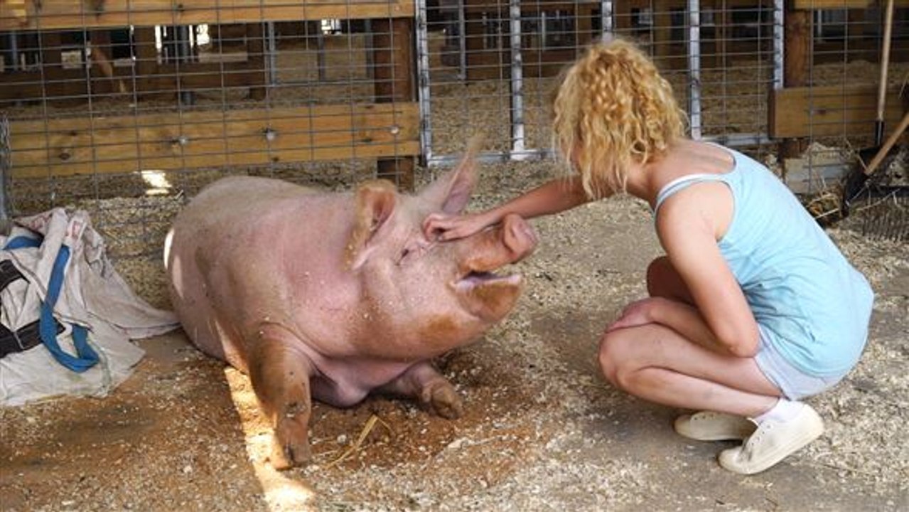 Eine farm für die freiheit