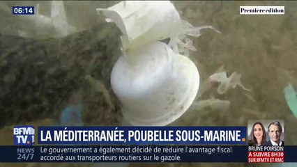 Ce plongeur s'est lancé un défi: débarrasser la Méditerranée de ses déchets