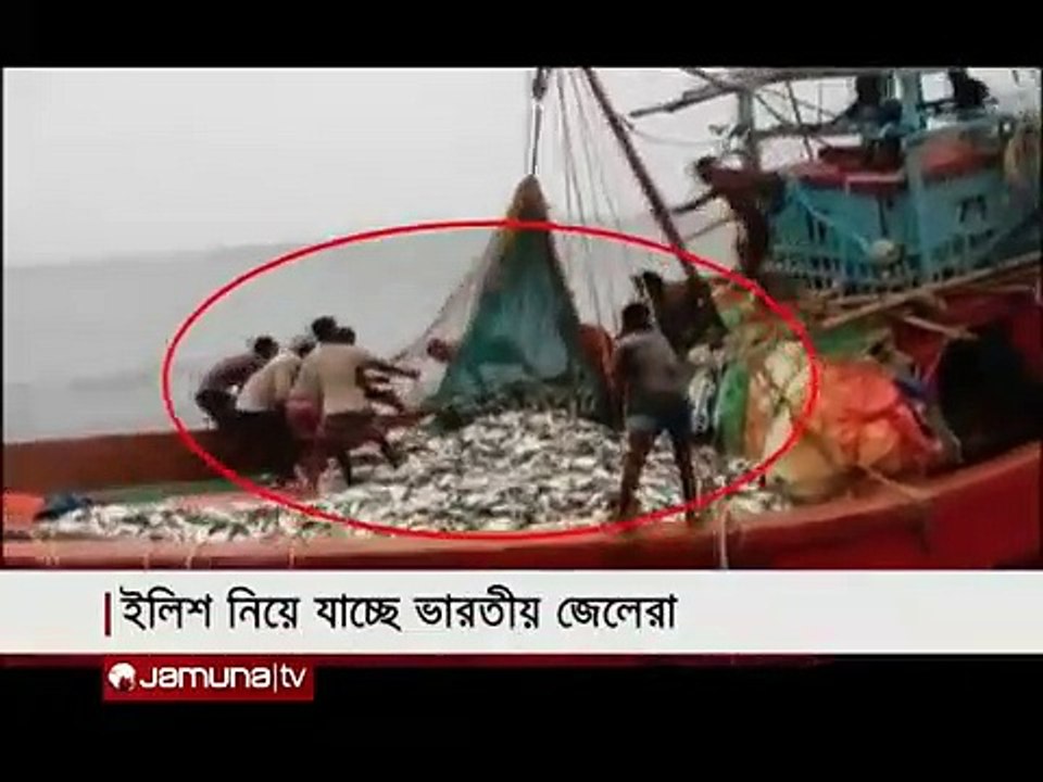 বাংলাদেশের জলসীমায় ভারতীয়দের অনুপ্রবেশ, চলছে ইলিশ শিকার