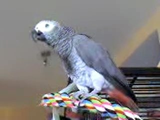 miko dit "Non""gratouille""bisou a maman"