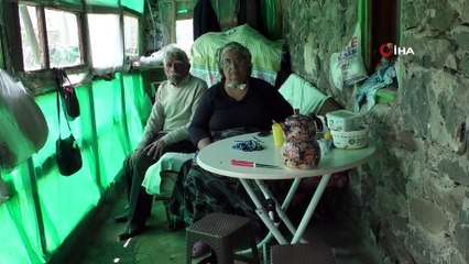 Kars’ta yaşlı çiftin tek odada yaşam mücadelesi