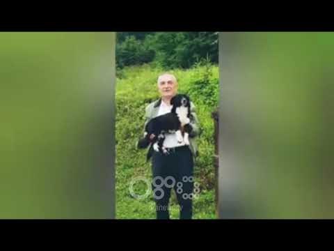 RTV Ora - Macet nuk shkojnë me qentë, por nuk është ky rasti , Meta prezanton mikun e ri nga Bosnja