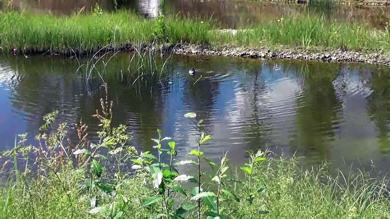 June 22 2019  F