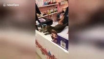 'Cheetah' cat shows off her incredible jumps across tables and high fives owner