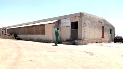 Huzuru Köyde Bulanlar - İkinci baharlarında devlet desteğiyle işletmeci oldular