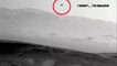 Are this birds on Mars or NASA lie?