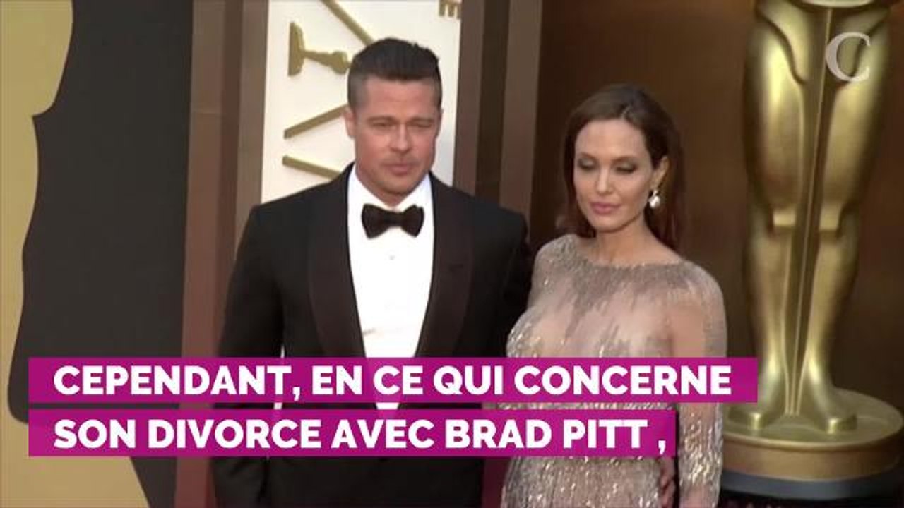 PHOTOS. Angelina Jolie : son geste très généreux envers un pet...