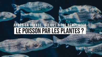 Après la viande, allons-nous remplacer le poisson par les plantes ?