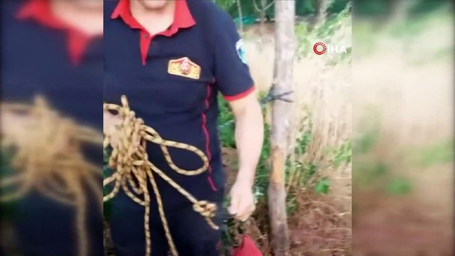 8 metrelik kuyuya düşen kediyi itfaiye ekipleri çıkarttı