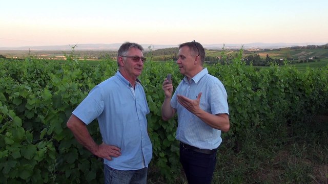 Réduction des doses phytosanitaires en Bourgogne sur vigne 71