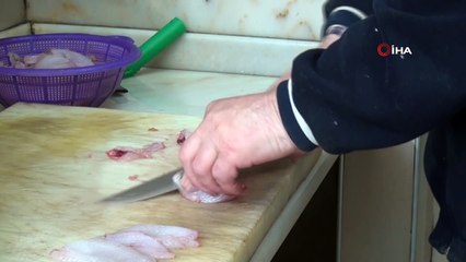 İskorpit balığı tezgahların vazgeçilmezi haline geldi