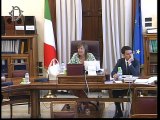 Roma - Audizioni su sicurezza sul lavoro (10.07.19)