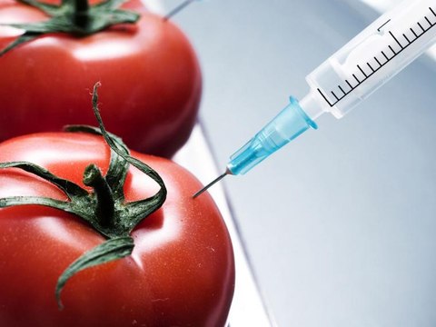 ¿Qué son los alimentos transgénicos?