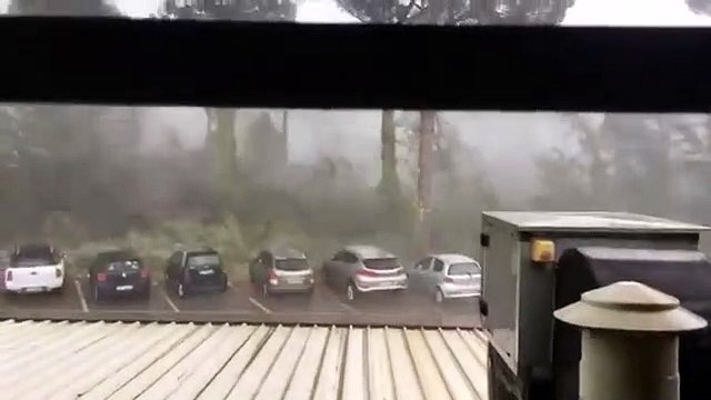 Milano Marittima (RA)- Tromba d'aria, cadono i pini (10.07.19)