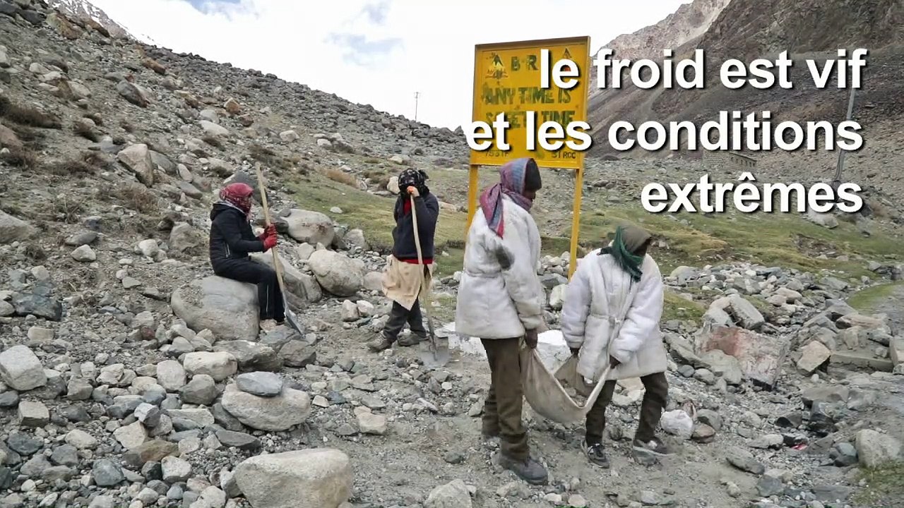 Inde: sur les hauteurs du Ladakh, les forçats de la route