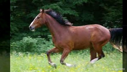 천안출장안마 ト출장샤워う ｛카톡UV73｝천안전지역출장안마 천안오피걸 천안출장샵 천안출장안마 천안콜걸샵 출장마사지モムり