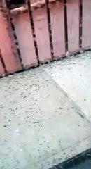 Grandine ad Andria - 10 luglio 2019