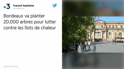 Bordeaux va planter 20 000 arbres pour lutter contre les îlots de chaleur