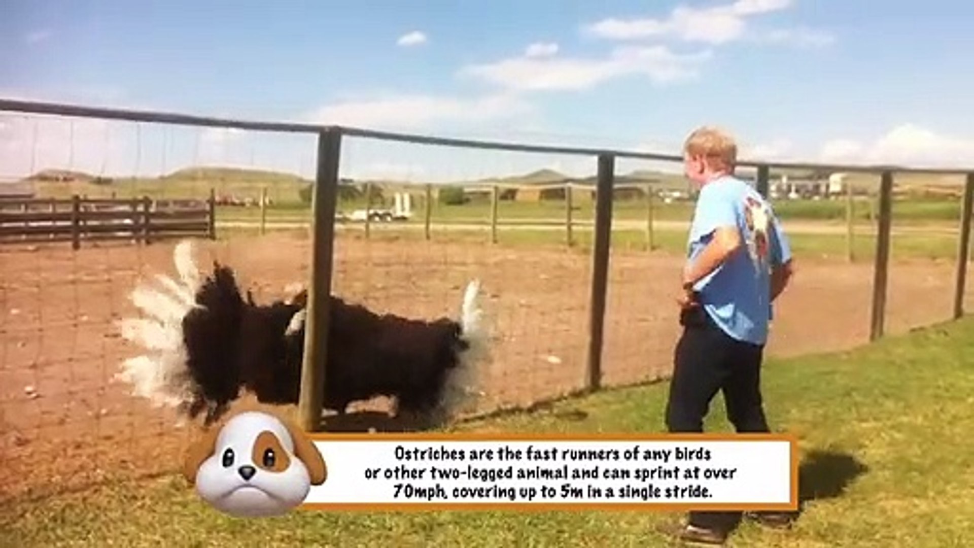 ⁣Funniest Pets & Animals of the Week | Funny Pet Videos