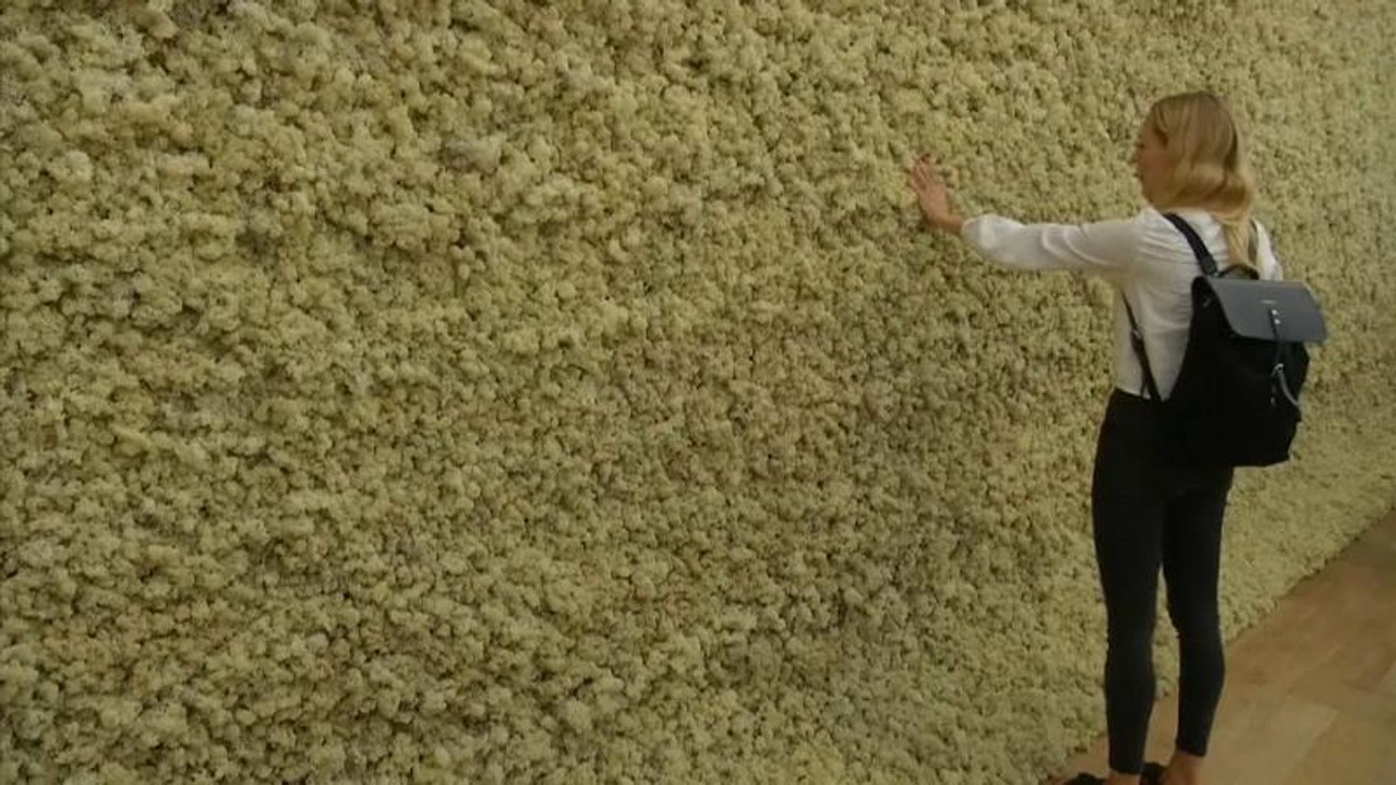 Tapintható kiállítás Londonban