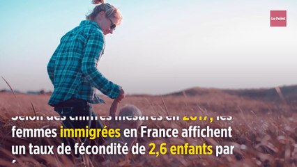 Natalité : l'impact de l'immigration sur la fécondité française