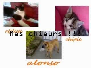 mes animaux