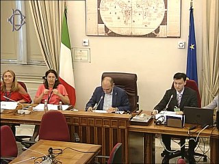 Roma -Audizioni su 5G e big data (10.07.19)