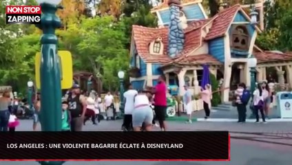 Los Angeles : Une violente bagarre éclate au sein d'une famille à Disneyland (Vidéo)