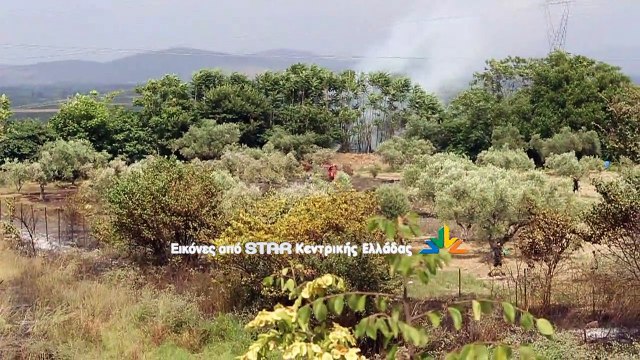 Υπό μερικό έλεγχο η φωτιά στο Λαφύστι Λιβαδειάς