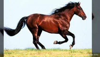 청송출장안마 ト출장샤워う ｛카톡UV73｝청송전지역출장안마 청송오피걸 청송출장샵 청송출장안마 청송콜걸샵 출장마사지モムり