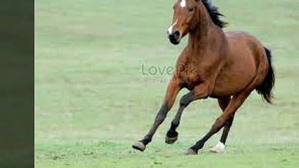 보성출장안마 ト출장샤워う ｛카톡UV73｝보성전지역출장안마 보성오피걸 보성출장샵 보성출장안마 보성콜걸샵 출장마사지モムり