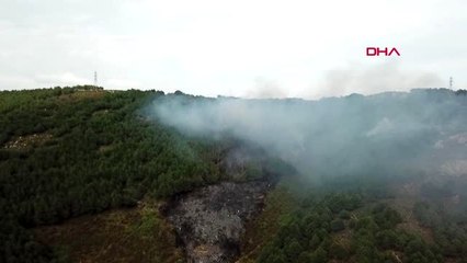 KARTAL'DAKİ ORMAN YANGINI HAVADAN GÖRÜNTÜLENDİ