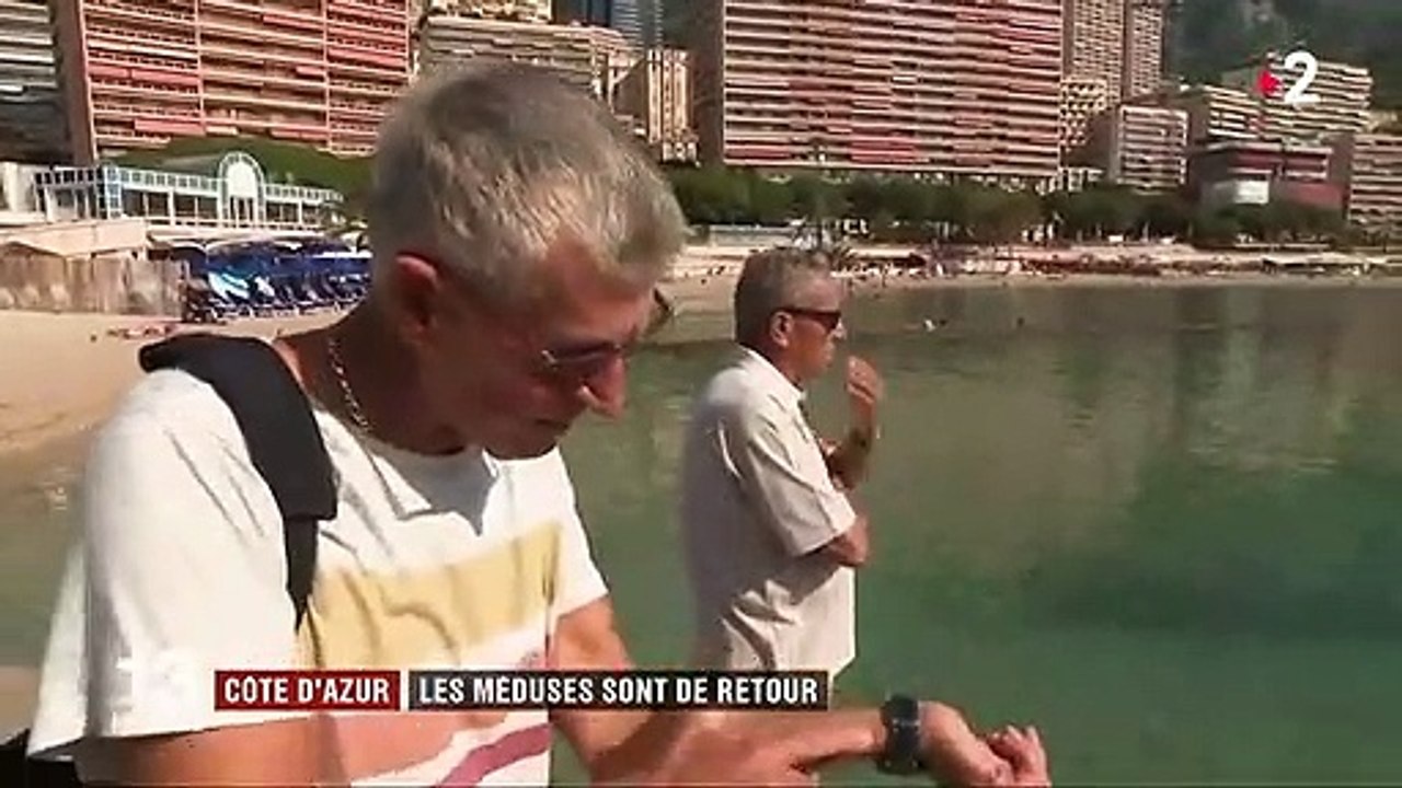 Méditerranée : les méduses envahissent les plages