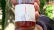 Rosé d'été : Coup de cœur pour un rosé bio d'Auvergne friand et juteux
