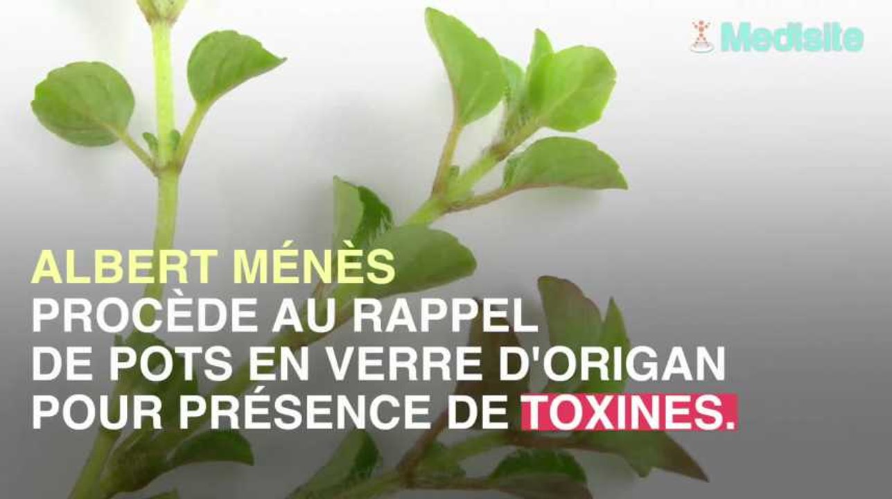 Rappel d'origan Albert Ménès pour présence de toxines cancérigènes
