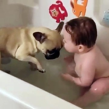Les meilleurs amis s'entraident. Regardez ce qui se passe entre ce chiot et un bébé !
